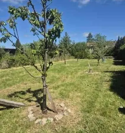 Ferienhaus Maison Cosy